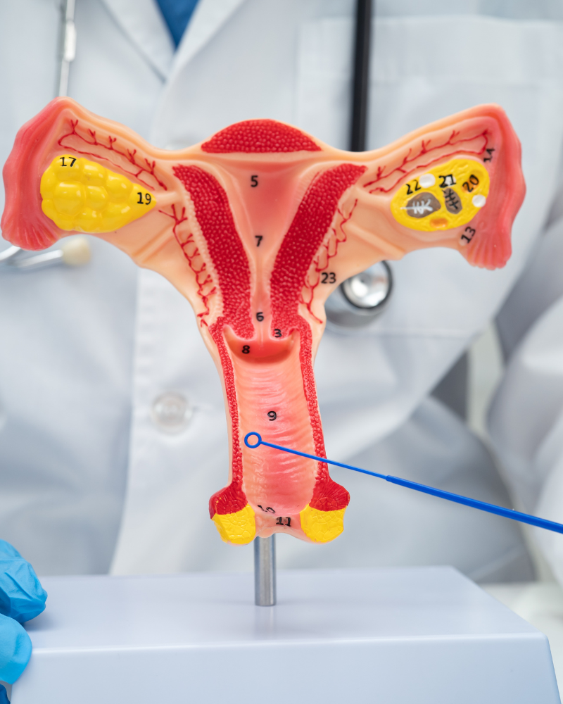 Home 14 Cesmed Especialidades Médicas Home